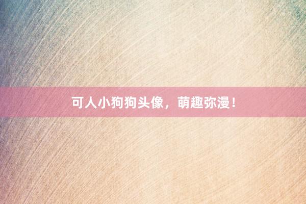 可人小狗狗头像，萌趣弥漫！